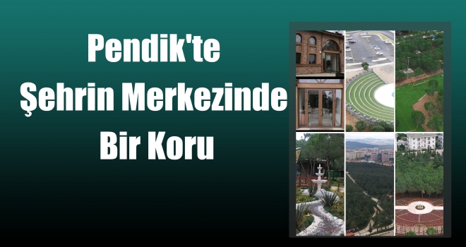 Pendik'te Şehrin Merkezinde Bir Koru