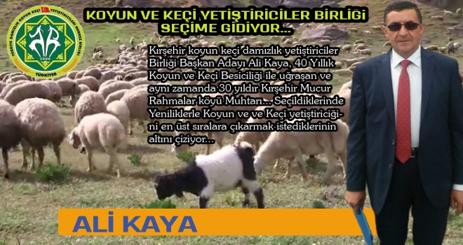 KOYUN VE KEÇİ YETİŞTİRİCİLER BİRLİĞİ SEÇİME GİDİYOR...